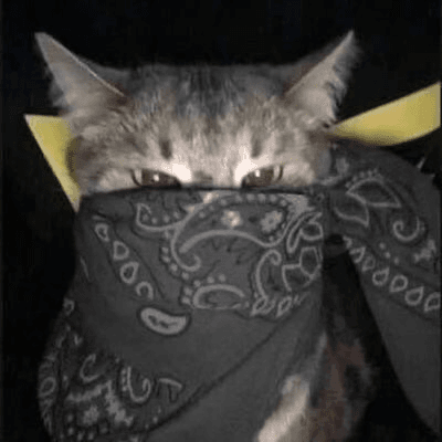 ᅟ